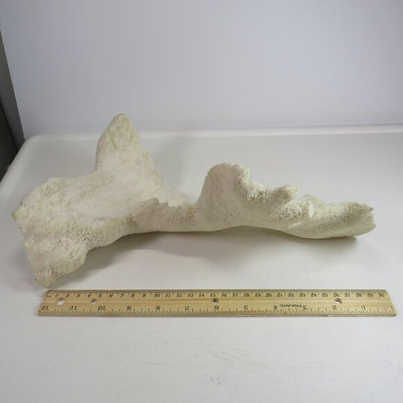 (1) solid Piece of REAL Coral over 3lbs & 13" long - Picture 3 of 14